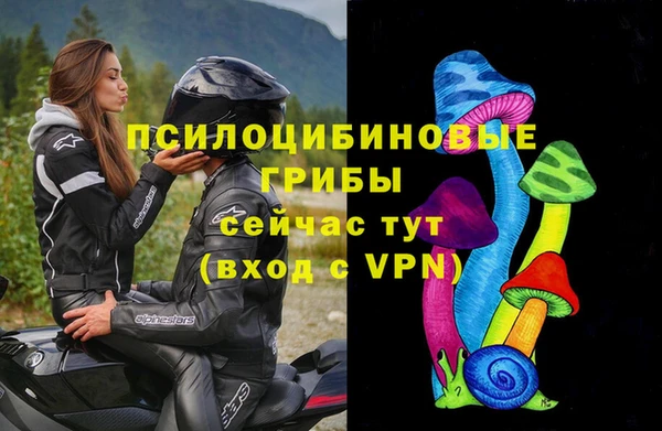Альфа ПВП Беломорск