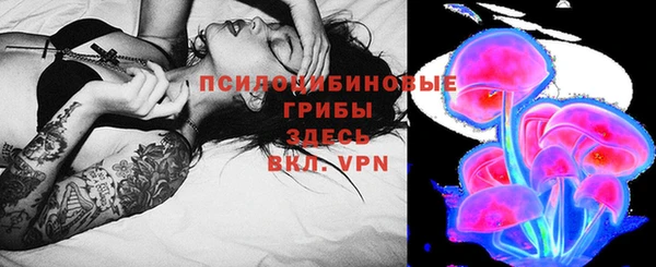 spice Белокуриха