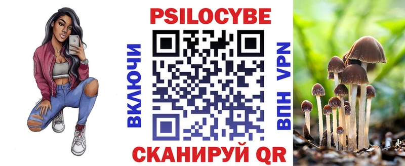 где продают наркотики  мега вход  Псилоцибиновые грибы Psilocybe  Макаров 