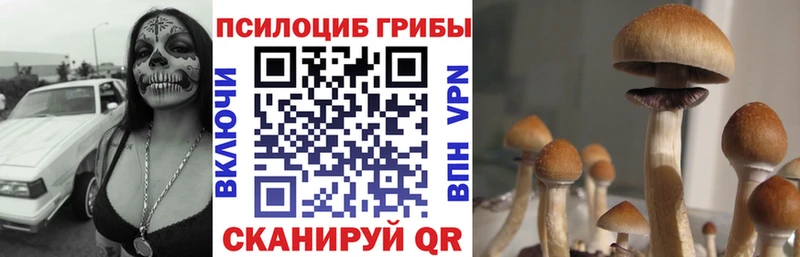 Галлюциногенные грибы Cubensis Макаров